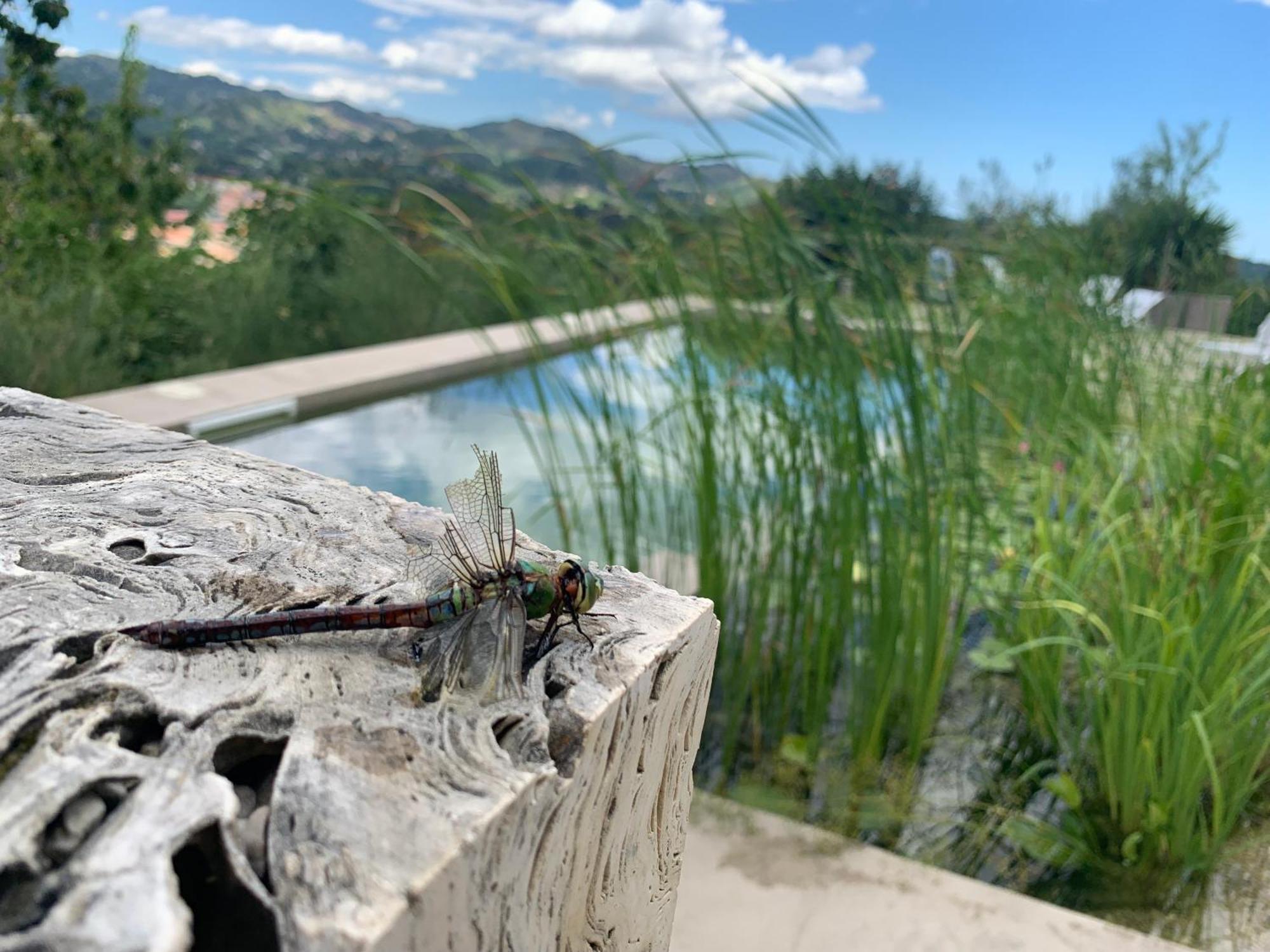 Villa Fortezza Antique Rooms Ascoli Piceno Esterno foto