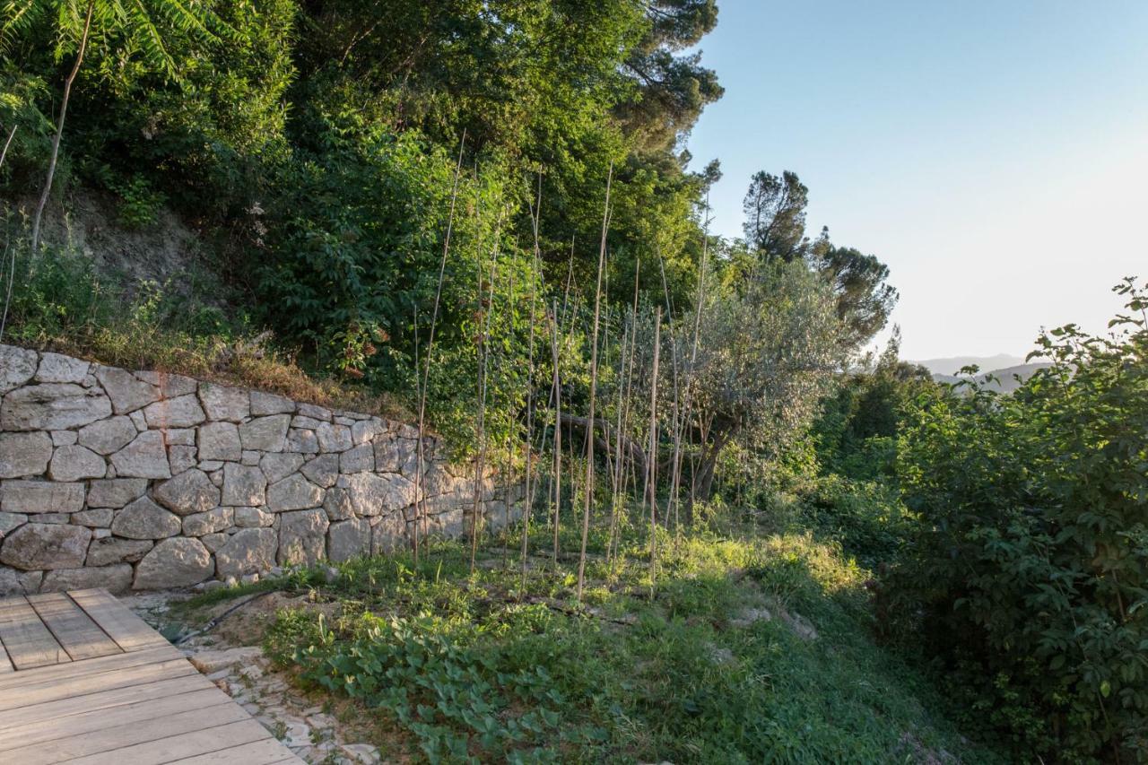 Villa Fortezza Antique Rooms Ascoli Piceno Esterno foto